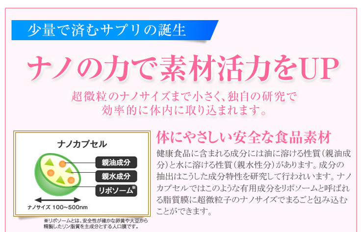 ナノカプセル(リポソーム)の構造:親油成分・親水成分をリポソーム膜で包む